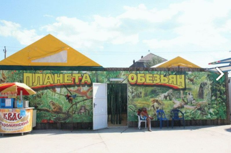Вход в контактный зоопарк «Планета обезьян»